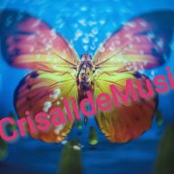 CrisalideMusic